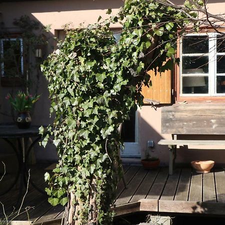 Villa Ferienhaus Witta à Radebeul Extérieur photo
