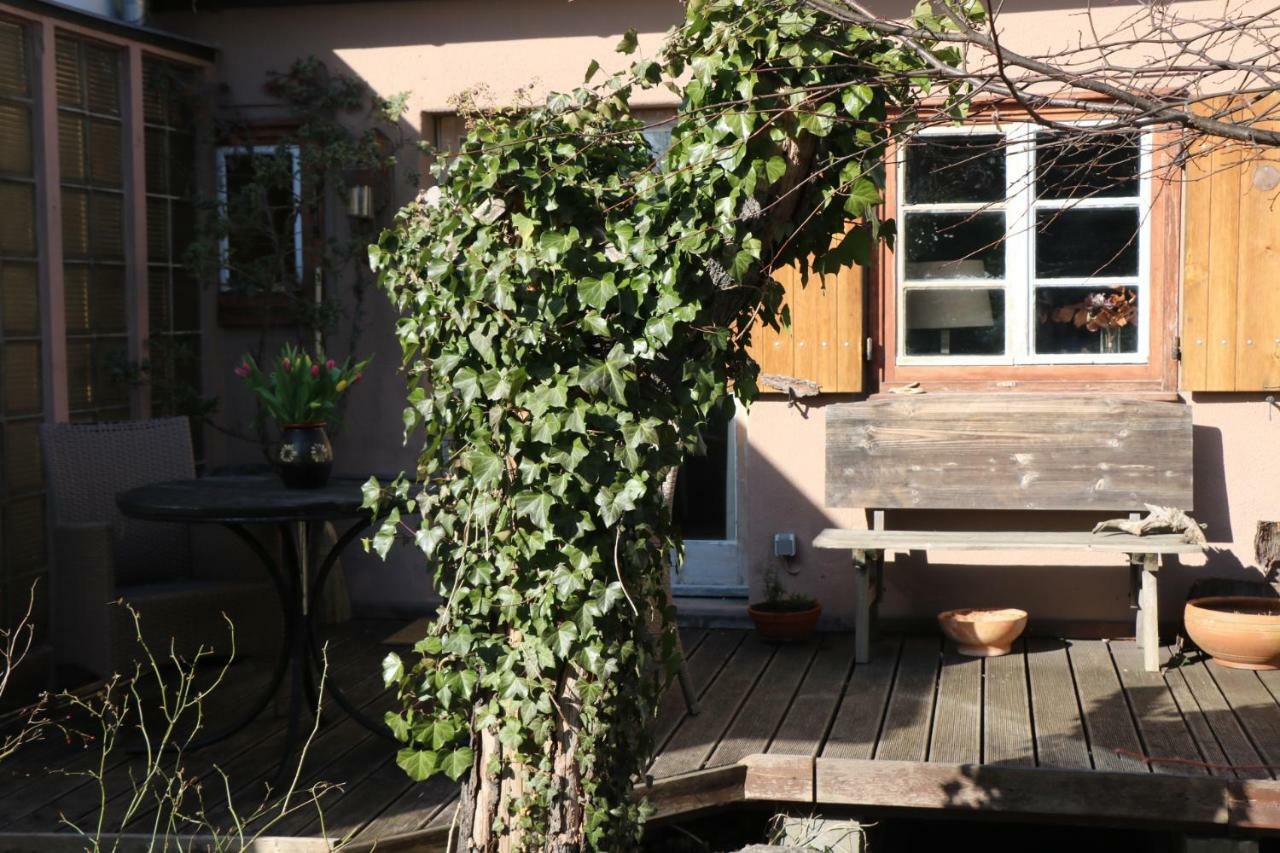 Villa Ferienhaus Witta à Radebeul Extérieur photo